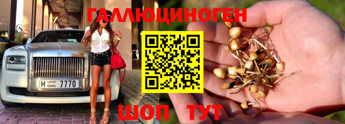 Галлюциногенные грибы Cubensis Красноармейск